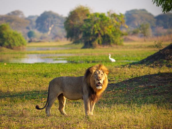 Malawi safari and lake adventure vacation