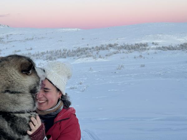 Christmas Arctic holiday in Sweden