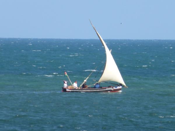 Northern Kenya safari and Diani beach