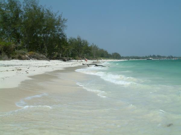 Northern Kenya safari and Diani beach