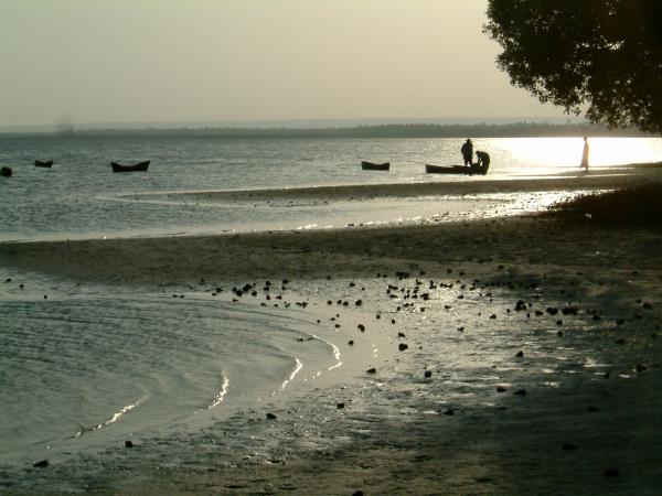 Northern Kenya safari and Diani beach