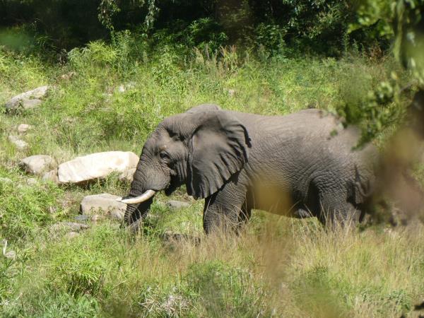 Northern Kenya trekking and safari vacation