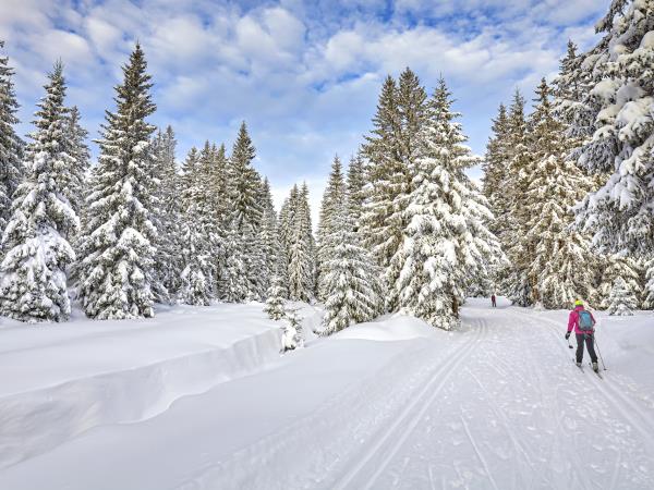 Ski touring winter vacation