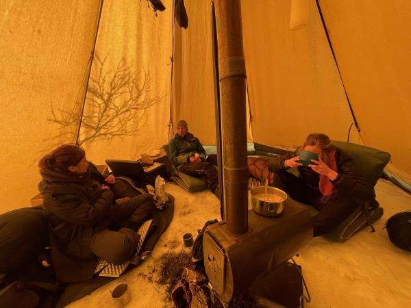 Christmas Arctic holiday in Sweden