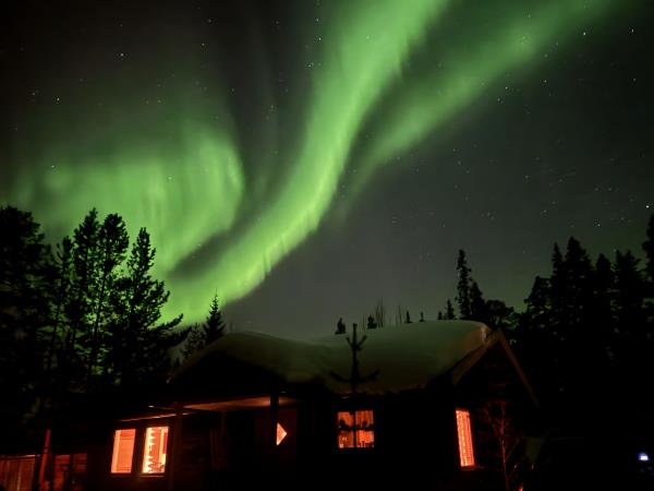 Christmas Arctic holiday in Sweden