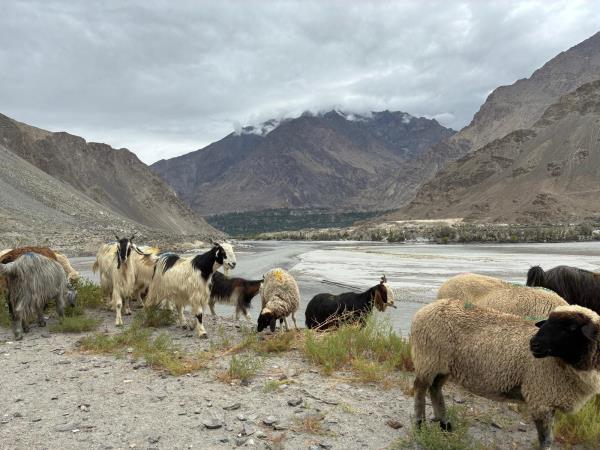 Pakistan mountain and city tour