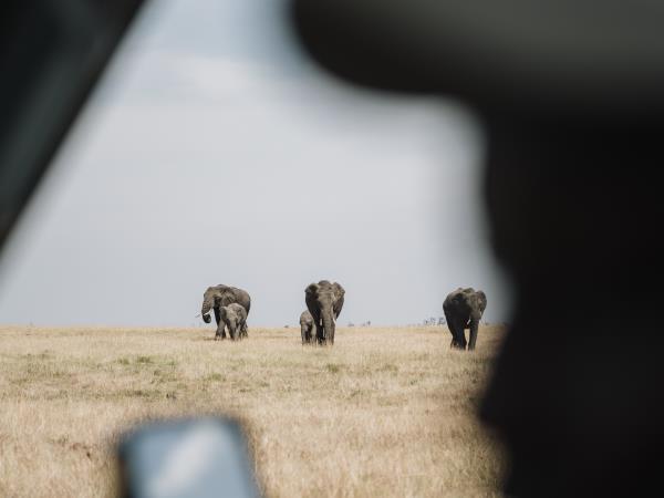 Maasai Mara wildlife photography vacation
