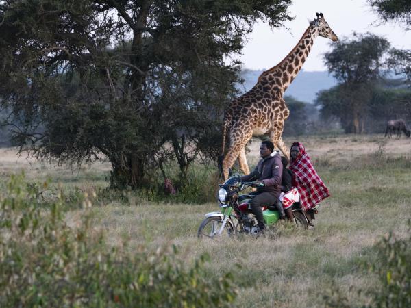 Maasai Mara wildlife photography vacation