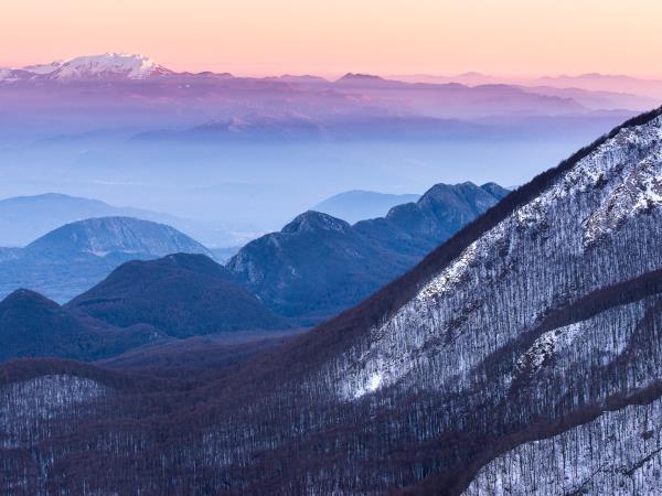 Wolf Tracking vacation in Central Appenines, Italy