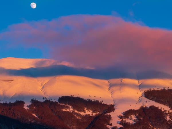 Wolf Tracking vacation in Central Appenines, Italy