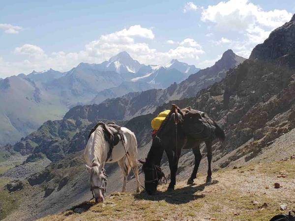 Horse trekking in Tian Shan mountains, Kyrgyzstan