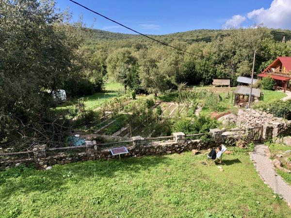 Yoga, SUP yoga & walking in Montenegro