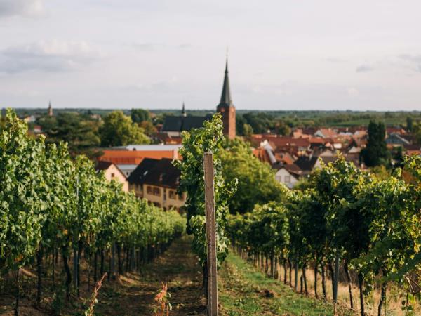 Hungary women only tour