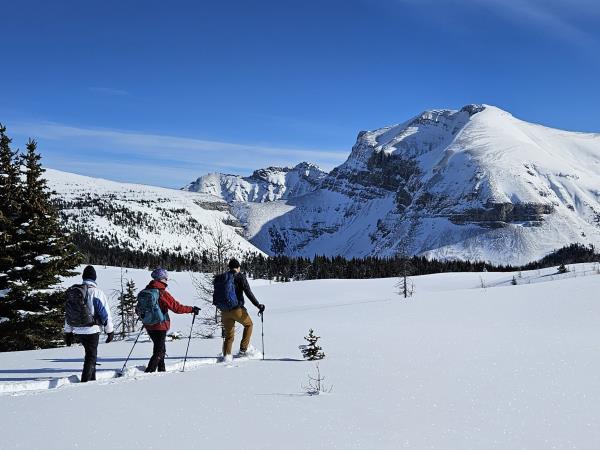 Snow shoeing and winter hiking vacation, Canada