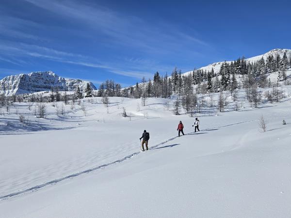 Snow shoeing and winter hiking vacation, Canada