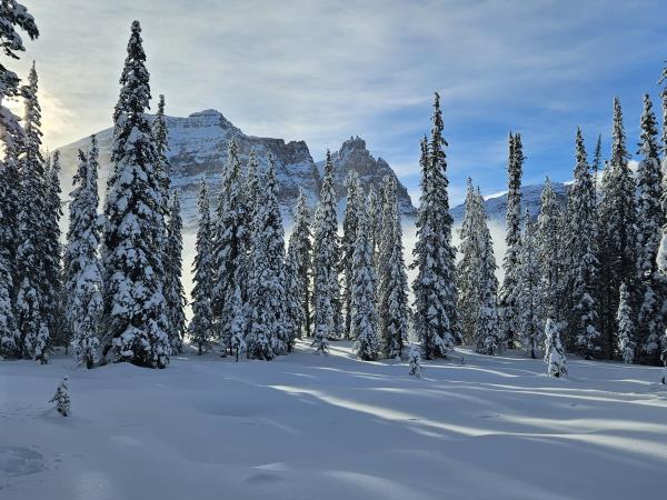 Snow shoeing and winter hiking vacation, Canada