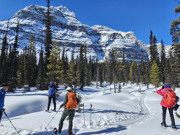 Snow shoeing and winter hiking vacation, Canada