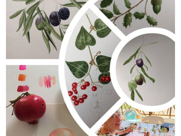 Botanical painting tour in South Africa
