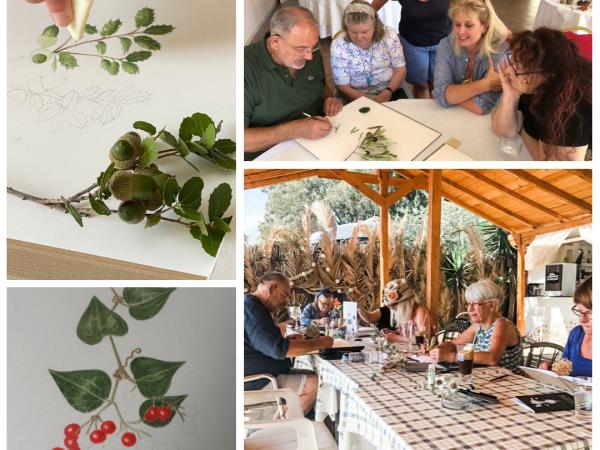 Botanical painting tour in South Africa