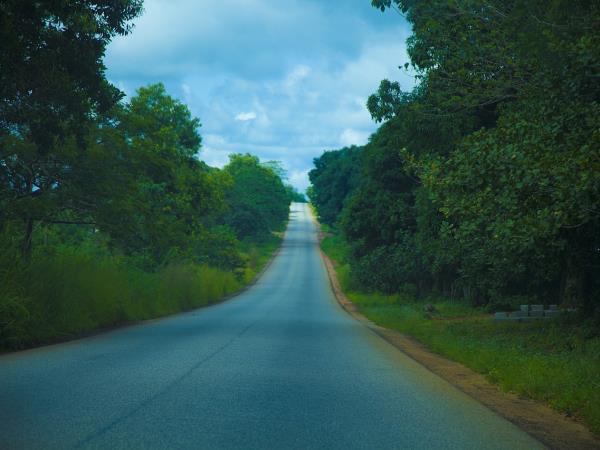 Guinea, Liberia and Sierra Leone expedition