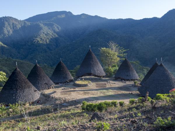 Komodo snorkelling tour, manta rays & dragons
