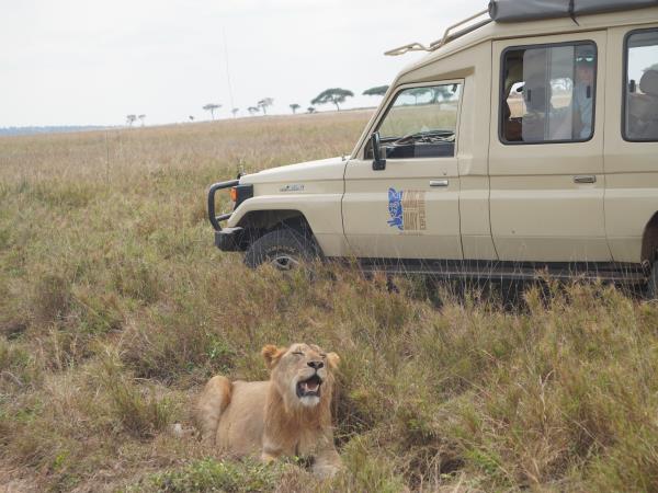 Tanzania national park vacation, off the beaten path
