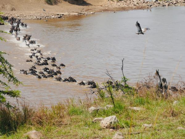 Tanzania national park vacation, off the beaten path