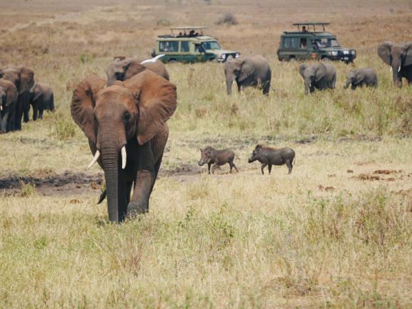 Tanzania on a budget, 4 day tour