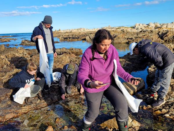 Shark conservation project in South Africa