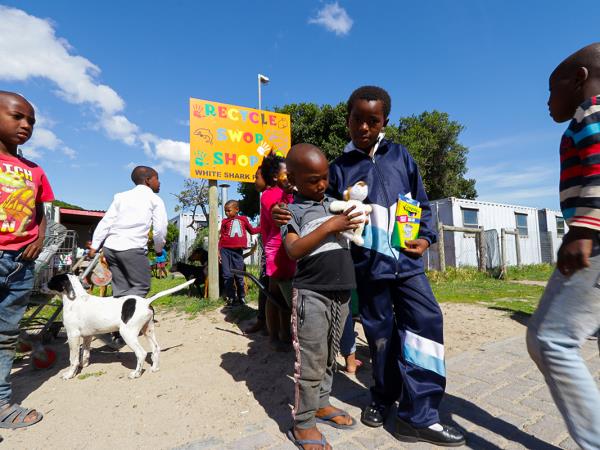 Shark conservation project in South Africa