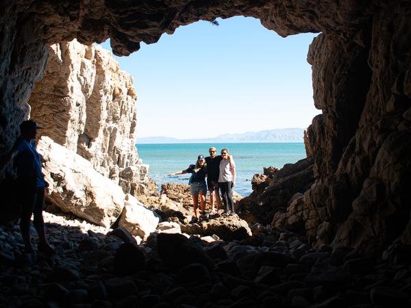 Shark conservation project in South Africa