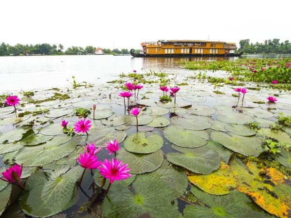 Kerala small ship river cruise, India