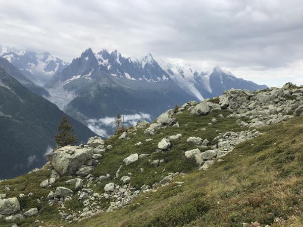 Tour du Mont Blanc guided hiking vacation, 10 days