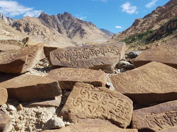 Ladakh mountains trekking adventure