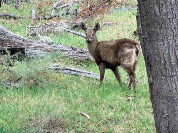 Patagonia yoga and walking vacation