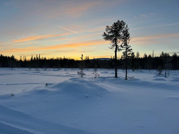 Finland wellness & winter activity vacation