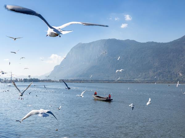 Yunnan tour classic, private departure