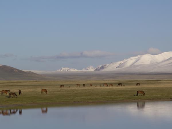 Kyrgyzstan & World Nomad Games tour 2026