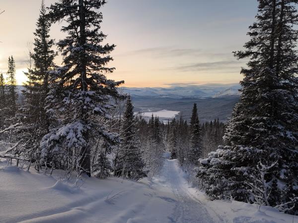 Arctic winter expedition