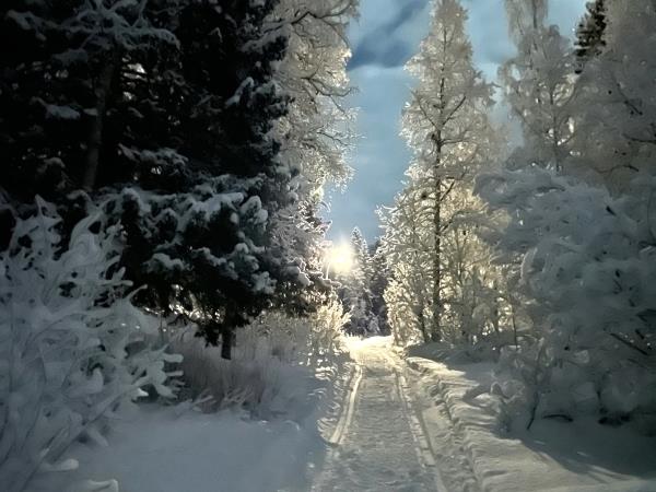 Arctic winter expedition