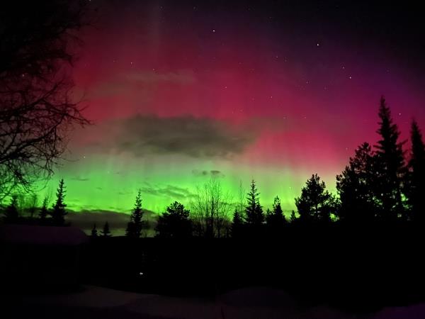 Arctic winter expedition