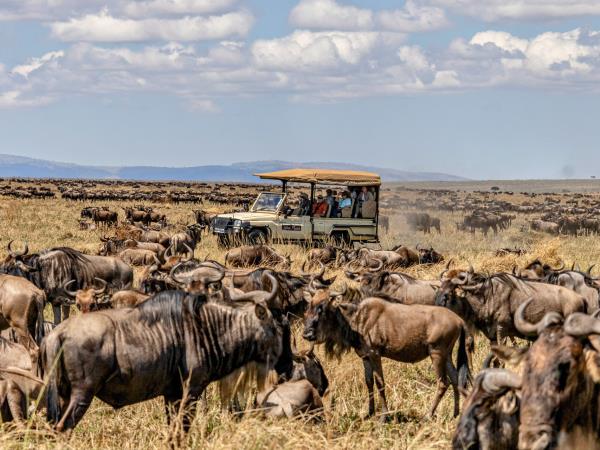 Kenya guided wildlife vacation