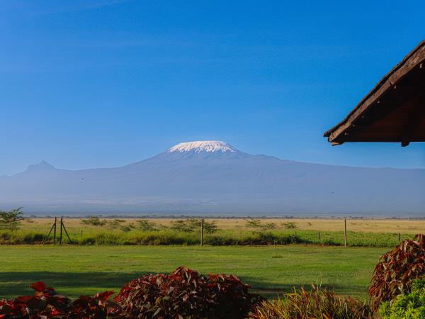 Kenya guided wildlife vacation