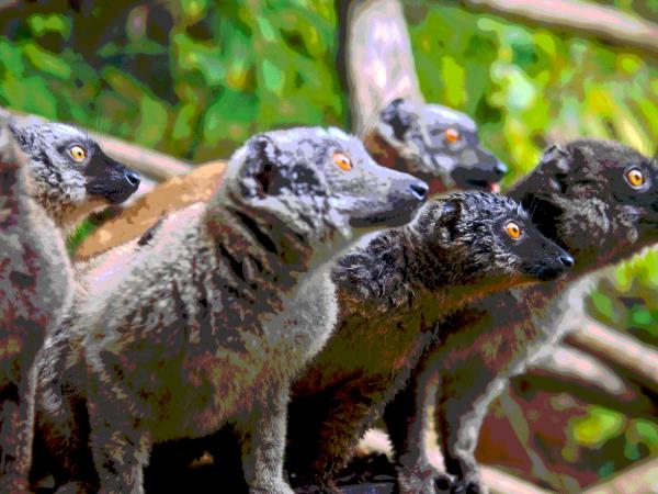 Comoros small group vacation