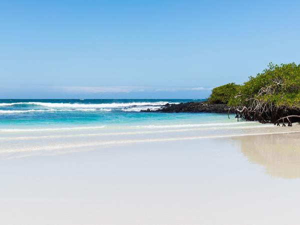 Galapagos cruise & island hopping vacation