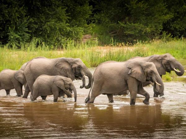 South Africa & Mauritius holiday