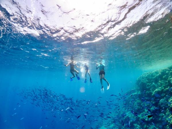 Egypt family vacation for younger children
