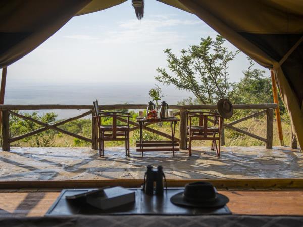 Kenya cheetah safari