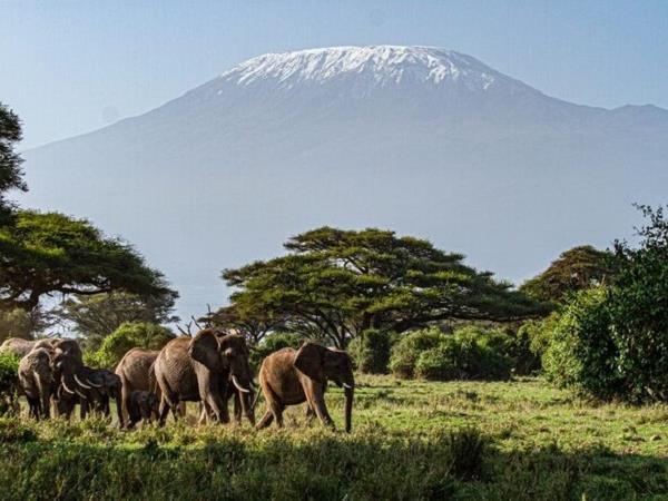 East Africa classic safari tour