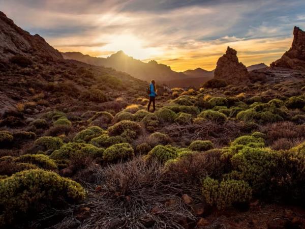Tenerife and La Gomera walking vacation, Spain